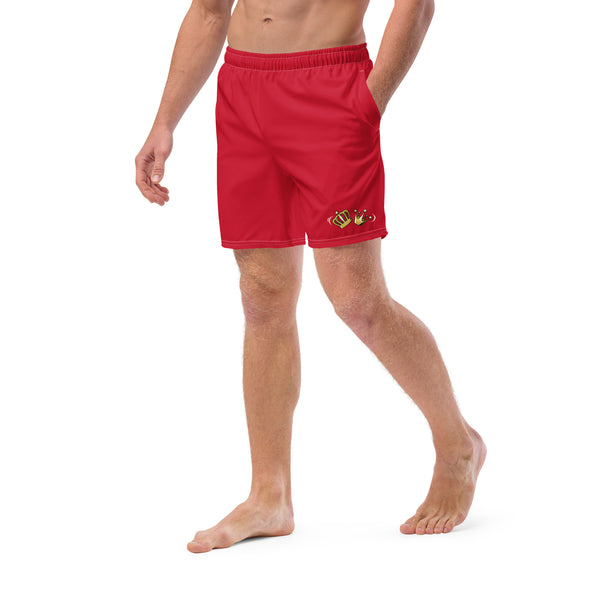 Salsa Kings Men's swim trunks board shorts